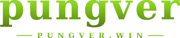 pungver โลโก้